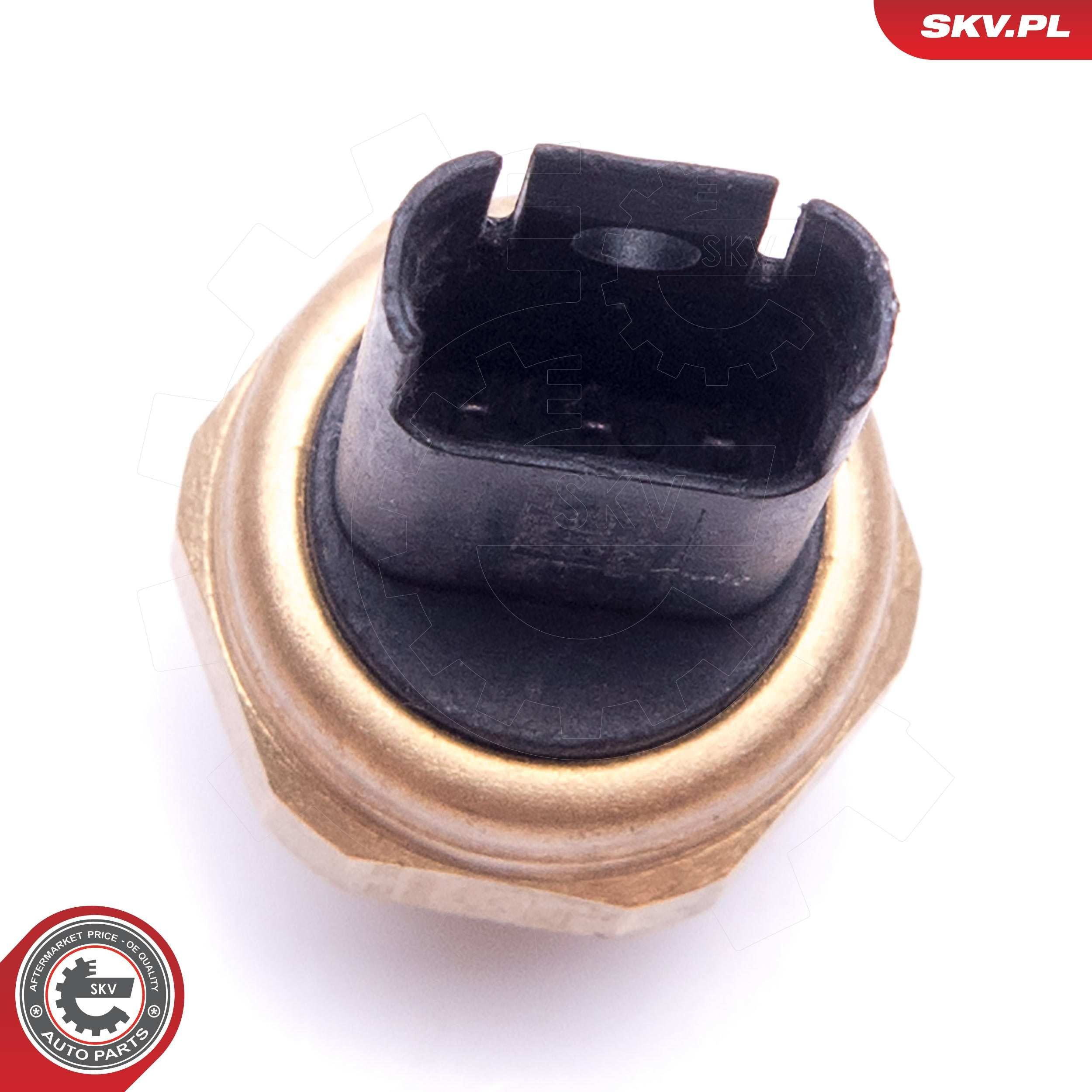 17SKV620 SKV